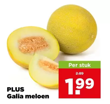 Galia meloen