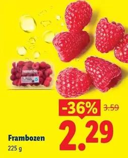 Frambozen