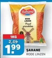 Rode Linzen Peulvruchten