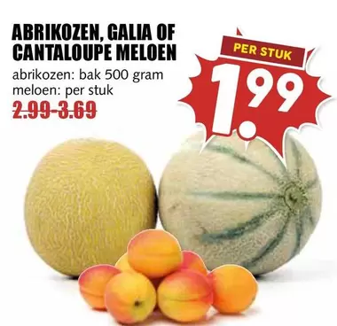Abrikozen, Galia of Cantaloupe Meloen