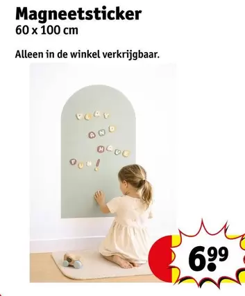De - Magneetsticker