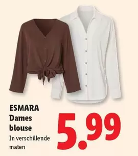 Dames blouse