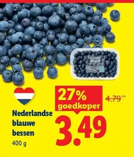 Nederlandse blauwe bessen