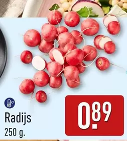 Radijs