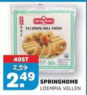 TYJ SPRING ROLL PASTRY