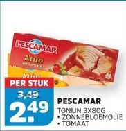 Tonijn in tomatensaus