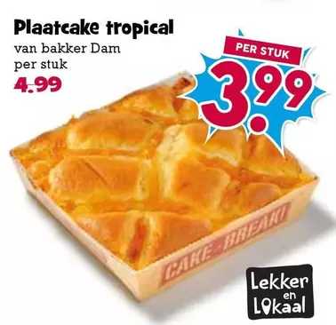 Plaatsake tropical