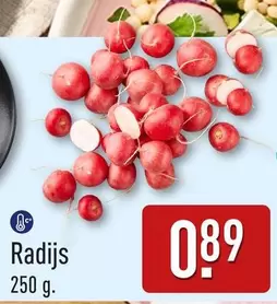 Radijs