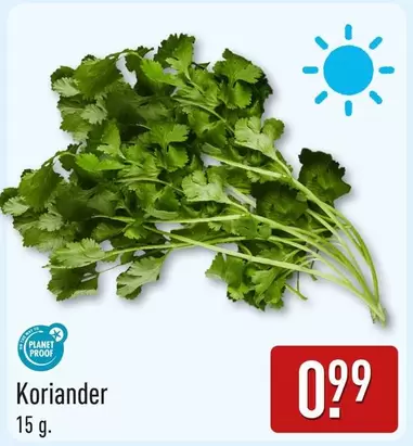 Koriander