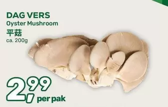 Oyster Mushroom
