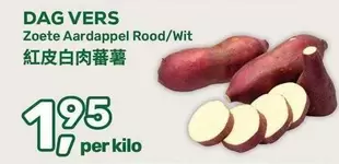 Zoete Aardappel Rood/Wit