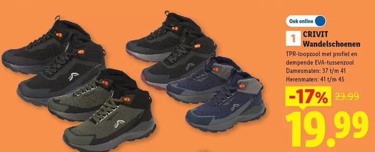 Wandelschoenen