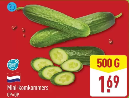 Mini-komkommers