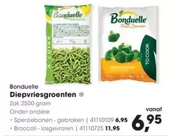 Bonduelle - Diepvriesgroenten Zak 2500 gram