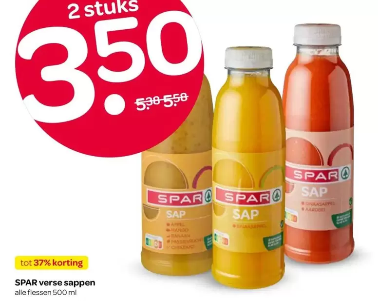 Verse Sappen