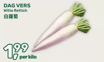 Witte Rettich