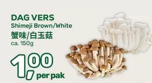 Shimeji Brown/White