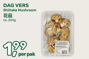 Shiitake Mushroom