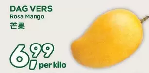 Rosa Mango