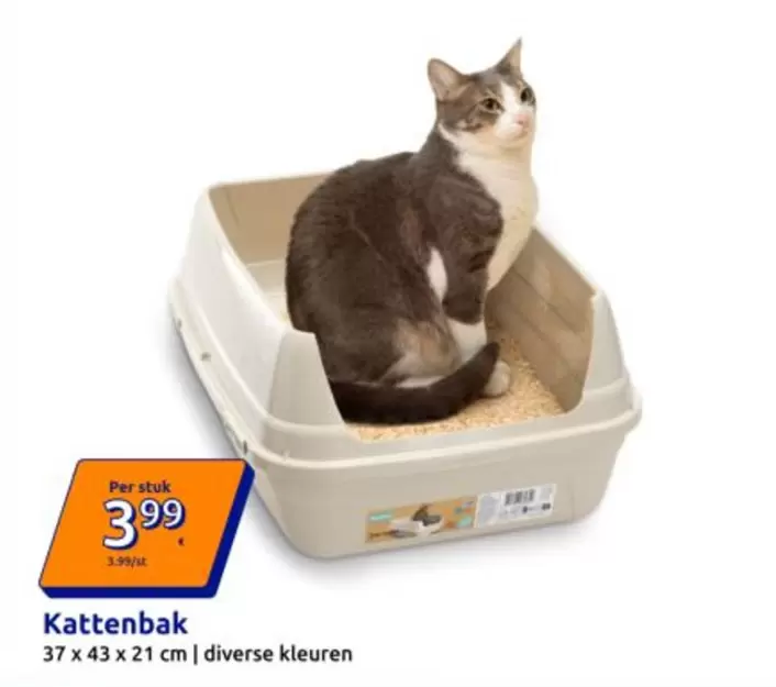 Kattenbak