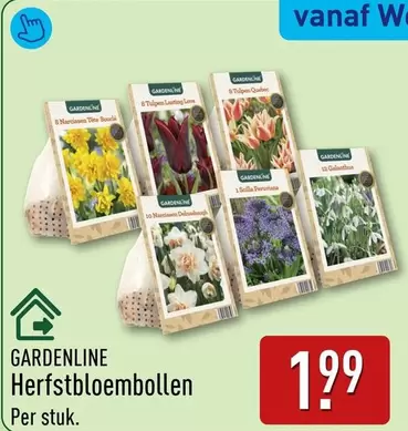 Love - Herfstbloembollen