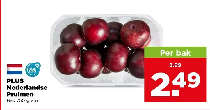 Nederlandse Pruimen