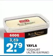 Yoghurt