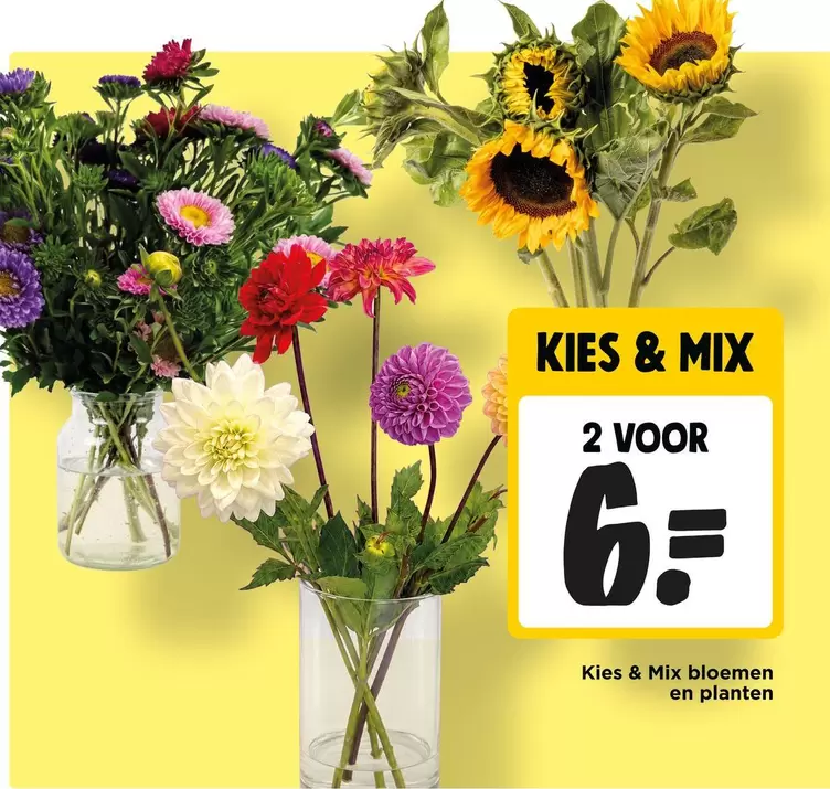 Mix - Kies & bloemen