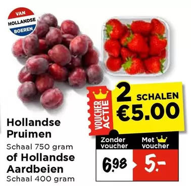 Hollandse Pruimen / Hollandse Aardbeien