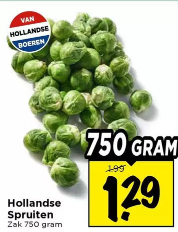 Hollandse Spruiten