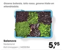 Salanova Kist 6 kroppen