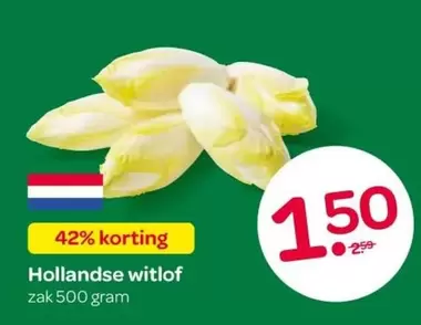 Hollandse witlof
