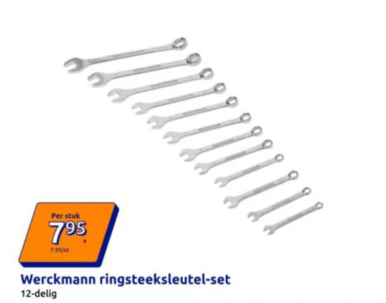 Ringsteeksleutel-set