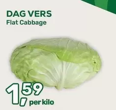 Flat Cabbage