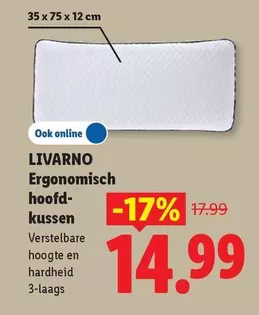 Ergonomisch hoofdkussen