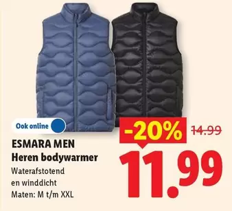 Heren bodywarmer
