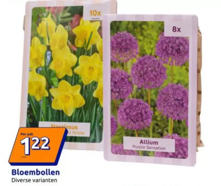 Bloembollen