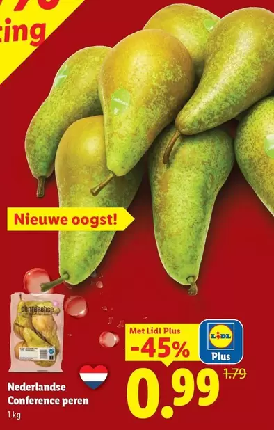 Conference peren