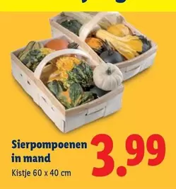 Sierpompoenen in mand