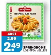 TYJ Spring Roll Pastry