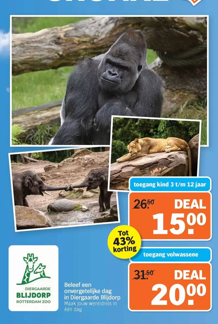 zoo - Diergaarde Blijdorp