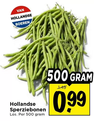 Hollandse Sperziebonen
