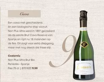 Codorniu - Non Plus Ultra Brut Bio Penedès