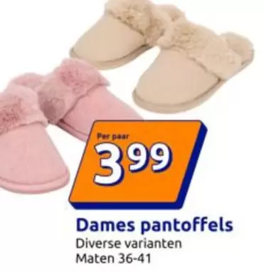 Dames pantoffels