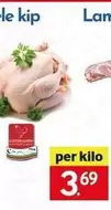 Hele Kip