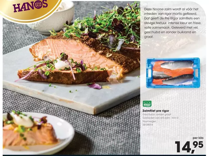 De - Zalmfilet
