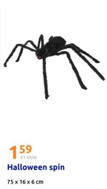 Halloween spin