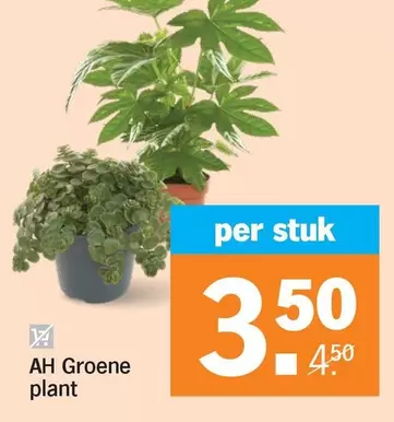Ah - Groene plant
