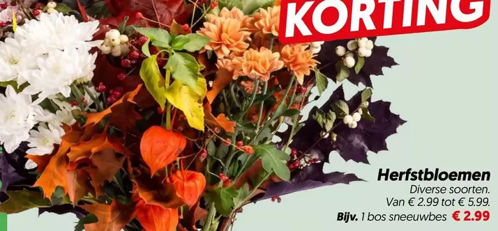 Herfstbloemen