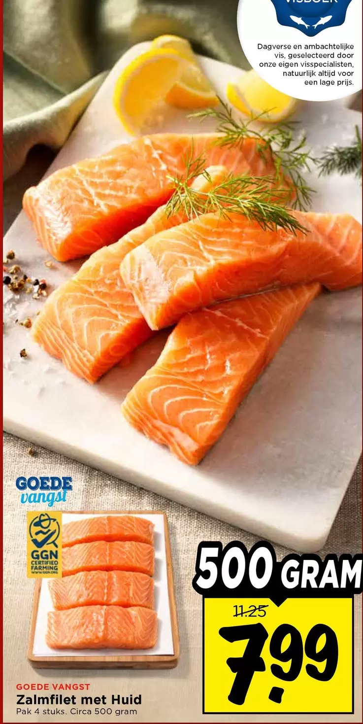 Zalmfilet met Huid